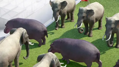 Athleticus S01E17 Football