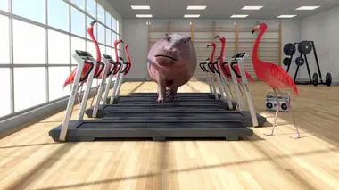 Salle d'entraînement