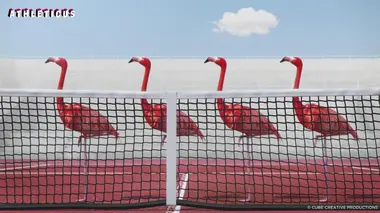 Entraînement de tennis