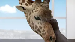 Athleticus S01E27 Kiné du sport