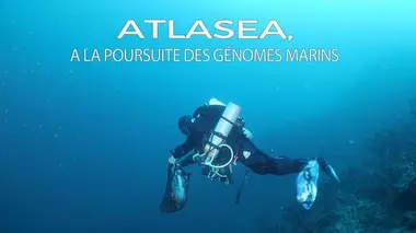 ATLASea, à la poursuite des génomes marins