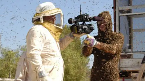 Attache-moi si tu peux ! E01 Un Britannique qui a le bourdon