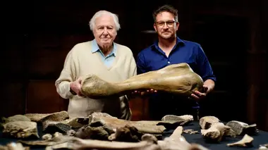 Attenborough and the Mammoth Graveyard David Attenborough et le cimetière des mammouths