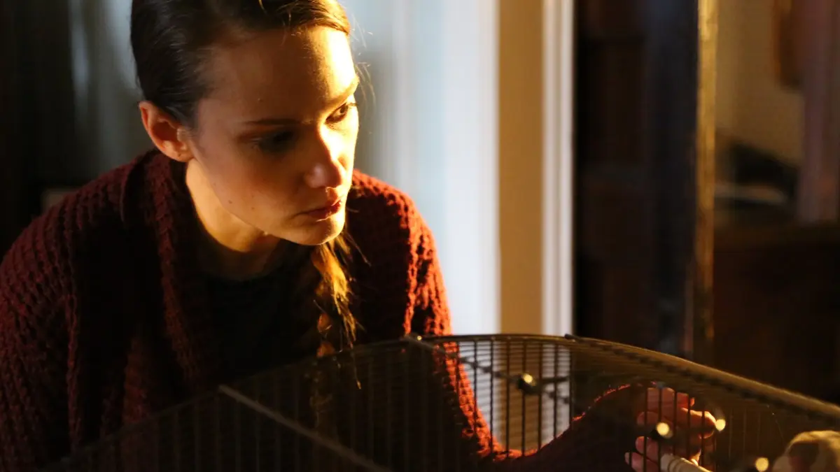 Attraction mortelle Séduction au bureau