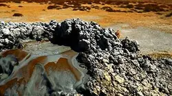 Visuel de Au bord de la mer Caspienne