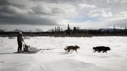 Au bout c'est la mer Le fleuve Yukon (Canada/Etats-Unis)