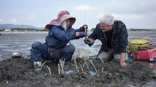 Au bout c'est la mer Le fleuve Chikugo-gawa (Japon)