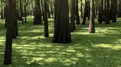 Au bout c'est la mer S01E00 Le Mississippi