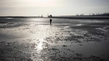 Au bout c'est la mer La Seine