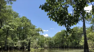 Au bout c'est la mer Le Mississippi
