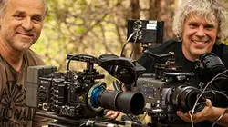 Visuel de Au coeur d'une forêt millénaire