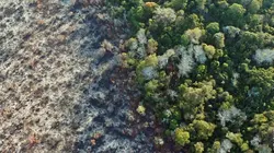 Au coeur de l'Amazonie