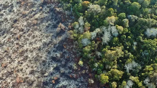 Au coeur de l'Amazonie