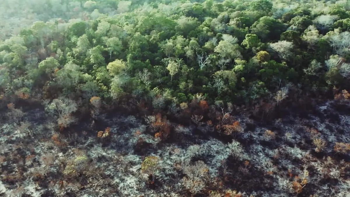 Au coeur de l'Amazonie S01E01 L'enfer de la jungle