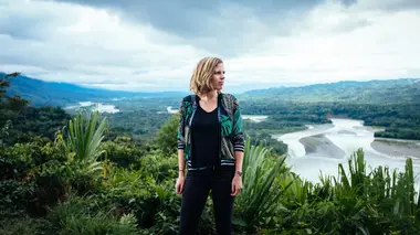 Brésil : à bas la forêt