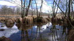 Au coeur de l'Amazonie européenne