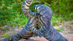 Au coeur de l'Australie sauvage