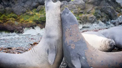 Au coeur de l'Australie sauvage