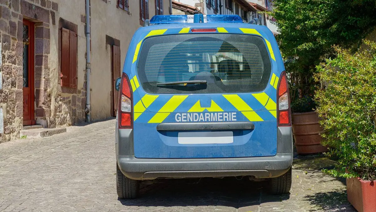 Au coeur de l'enquête PSIG:100 jours avec les gendarmes de Bourgogne