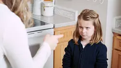 Au coeur de l'enquête Chauffards, rixes, vols et disputes familiales : 100 jours avec les gendarmes de choc de l'Hérault (n°3)