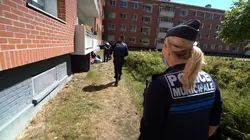 Au coeur de l'enquête Délinquance, excès d'alcool, violences familiales : 100 jours avec la police de Dunkerque