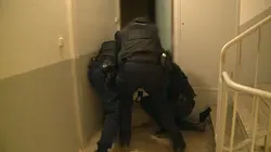 Au coeur de l'enquête Bagarres, trafic de stupéfiants, agressions : 100 jours avec la police de Nice