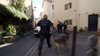 Au coeur de l'enquête Alcool, poursuites et agression à Reims