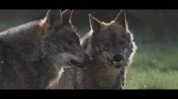 Au coeur de l'Espagne sauvage