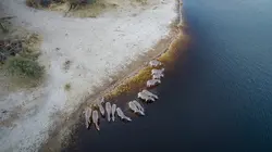 Au coeur de l'Okavango