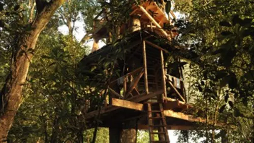 Au coeur de la canopée E03 Le grand départ