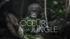Au coeur de la jungle
