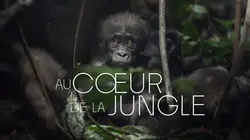Sur Ushuaïa TV à 20h50 : Au coeur de la jungle
