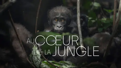 Au coeur de la jungle