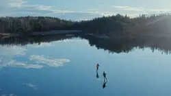 Au coeur de la Scandinavie  Les seigneurs des forêts