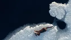 Au coeur de la Scandinavie