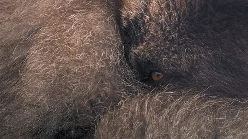 Épisodes de Au coeur de la Scandinavie