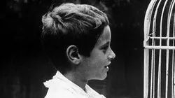 Visuel de Au coeur de la vie