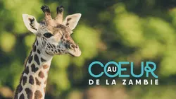 Au coeur de la Zambie