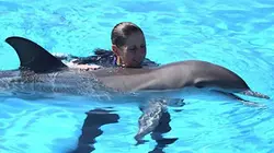 Au coeur de Marineland