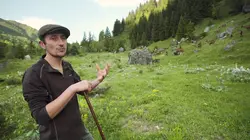 Au coeur de nos montagnes