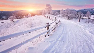 Aux trousses de l'héritière