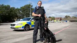 Au cœur des brigades canines