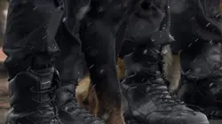 Au cœur des brigades canines