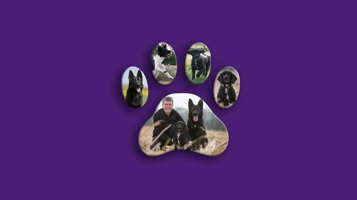 Au cœur des brigades canines Dévouement