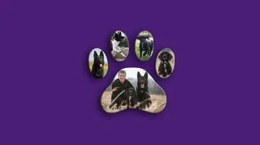 Compagnons pour la vie