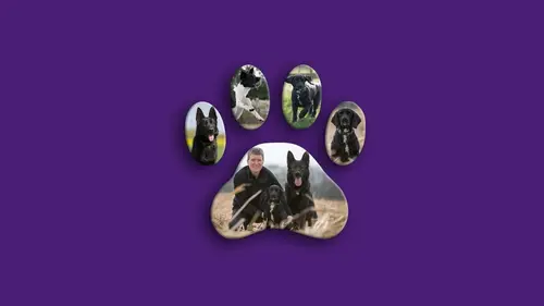 Au cœur des brigades canines Dévouement