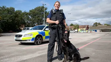 Contre toute attente