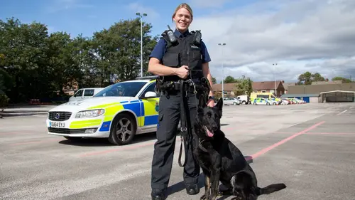 Au cœur des brigades canines Contre toute attente