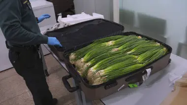 Au coeur des douanes