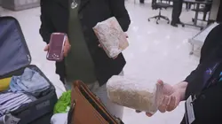 Au coeur des douanes